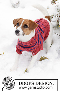 BFF's Jumper / DROPS Extra 0-84 - Knitted jumper for dogs in DROPS Merino Extra Fine. The piece is worked from the tail to the neck with stocking stitch, stripes and opening along the back. Size XS - L.