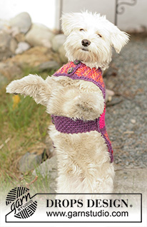 Free patterns - Dog Sweaters / DROPS 102-40