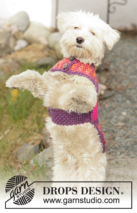 Suzi / DROPS 102-40 - DROPS dog coat knitted in Moss stitches with ”Snow”