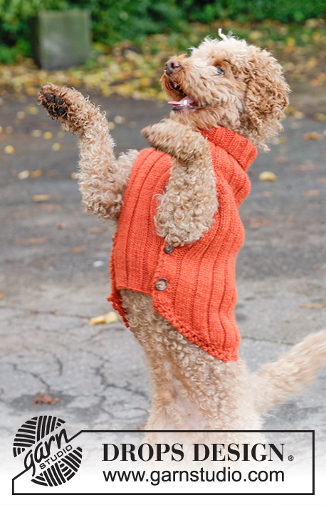 Outdoor Fun / DROPS 102-45 - Gestrickter Hundepullover / Pullover für Hunde in DROPS Alaska oder DROPS Nepal.