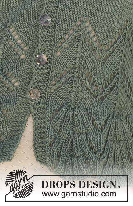 Salvia / DROPS 113-33 - Sweter rozpinany z włóczki DROPS Muskat. Od S do XXXL.