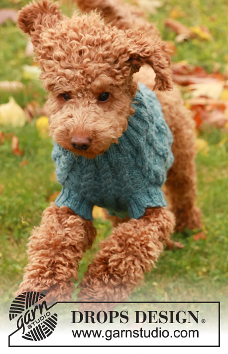 Barking Cables / DROPS 185-33 - Dog’s knitted jumper with cables. Sizes XS - M. The piece is worked in DROPS Karisma.