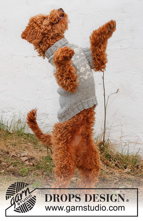 Atlanterhavsveien / DROPS 228-53 - Knitted sweater for dogs with Nordic pattern in DROPS Alaska. Sizes XS - M.
