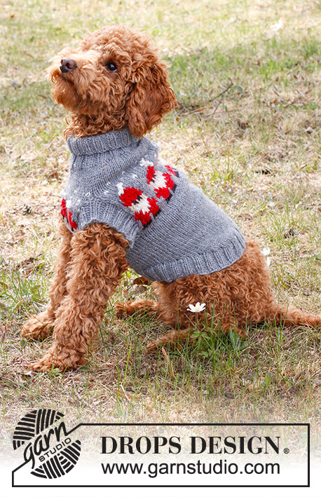 Merry Santas / DROPS 228-54 - Knitted Christmas jumper for dogs in DROPS Alaska. The piece is worked with Nordic Santa pattern. Sizes XS - M. Theme: Christmas.