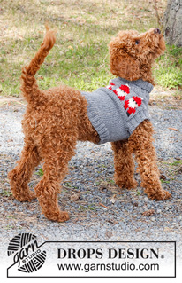 Merry Santas / DROPS 228-54 - Pulôver tricotado para cão em DROPS Alaska, com jacquard norueguês de Pais Natal. Do XS ao M. Tema: Natal.
