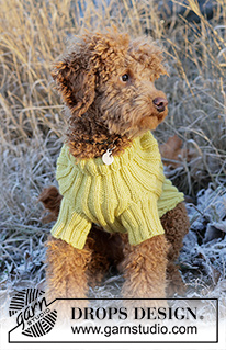 Free patterns - Dog Sweaters / DROPS 228-55