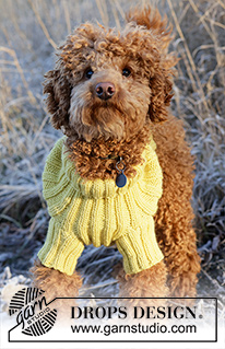 Mr. Sunshine / DROPS 228-55 - Capa para cão em tricô, com canelado em DROPS Alaska. Do XS ao M.