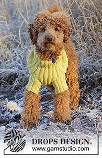 Mr. Sunshine / DROPS 228-55 - Gestrickter Pullover für Hunde in DROPS Alaska. Die Arbeit wird mit Rippenmuster gestrickt. 
Größe XS - M.