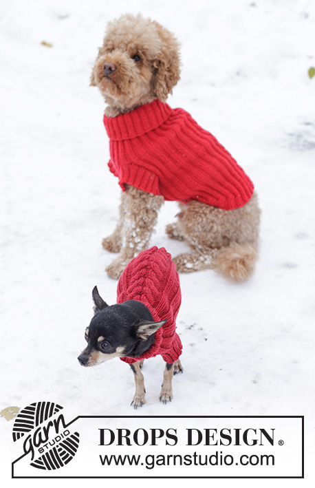 Holiday Buddies / DROPS 245-31 - Gestrickter Hundepullover / Pullover für Hunde in DROPS Karisma. Die Arbeit wird ab dem Hals bis zum Schwanz im Rippenmuster und Zopfmuster gestrickt. Größe XS - M. Thema: Weihnachten.