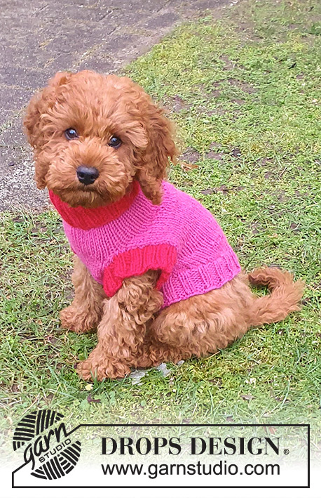 Good Girl Sweater / DROPS 245-32 - Pull tricoté pour chien en DROPS Nepal. Se tricote à partir du col jusqu'en bas du dos. Du XS au M.