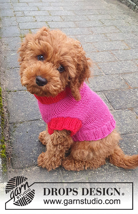 Good Girl Sweater / DROPS 245-32 - Capa tricotada para cão em DROPS Nepal. Tricota-se a partir da gola até à parte de baixo das costas. Do XS ao M.