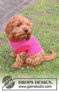 Good Girl Sweater / DROPS 245-32 - DROPS Nepal lõngast kaelast sabani kootud kampsun koerale suurustele XS-S-M