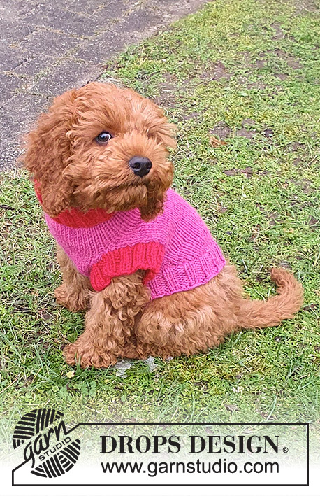 Good Girl Sweater / DROPS 245-32 - Gestrickter Pullover für Hunde / Hundepullover in DROPS Nepal. Die Arbeit wird ab dem Hals bis zum Schwanz gestrickt. Größe XS - M.