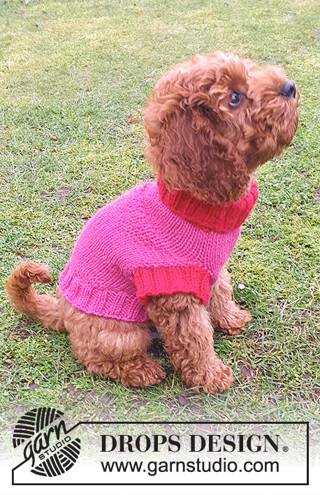 Good Girl Sweater / DROPS 245-32 - Maglione per cani lavorato ai ferri in DROPS Nepal. Lavorato dal collo alla coda. Taglie: XS-S-M.