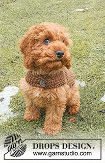 Best Day Ever Coat / DROPS 245-33 - Dečka / svetr pro psa s páskem pletený perličkovým vzorem z příze DROPS Snow. Velikost XS-M.