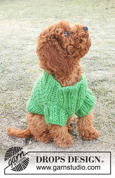 Good Boy Sweater / DROPS 245-34 - Sweterek / płaszczyk dla psa na drutach, z włóczki DROPS Snow. Przerabiany od góry do dołu, od szyi. Od XS do L.