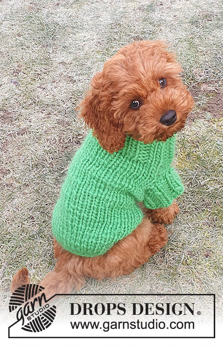 Good Boy Sweater / DROPS 245-34 - Maglione per cani lavorato ai ferri in DROPS Snow. Lavorato dal collo alla coda. Taglie: XS-L.